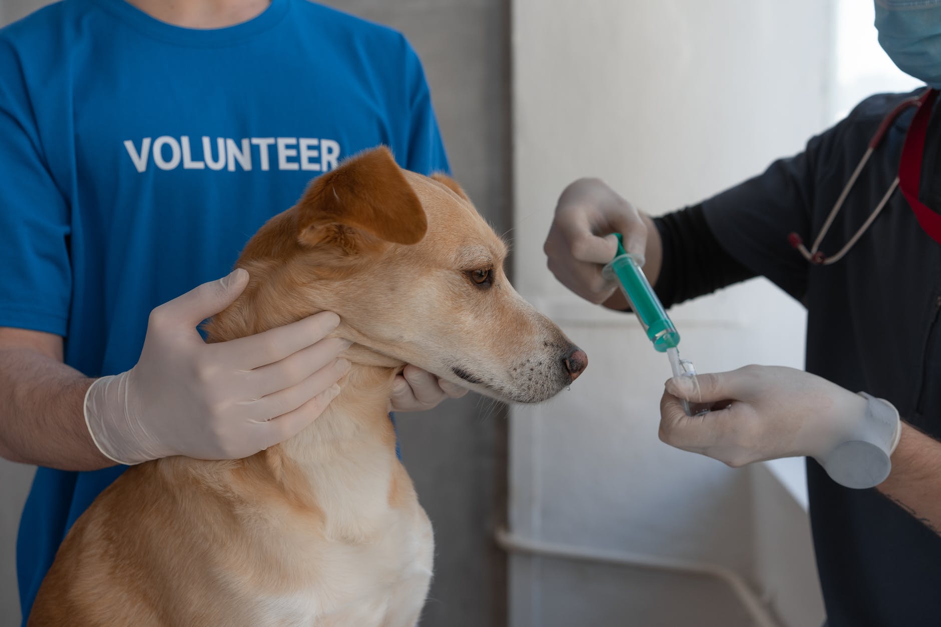 person in blue crew neck t shirt holding blue and white toothbrush